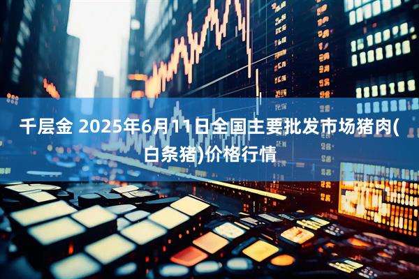 千层金 2025年6月11日全国主要批发市场猪肉(白条猪)价格行情