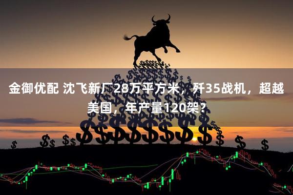 金御优配 沈飞新厂28万平方米，歼35战机，超越美国，年产量120架？