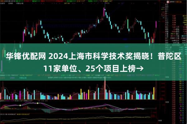 华锋优配网 2024上海市科学技术奖揭晓！普陀区11家单位、25个项目上榜→