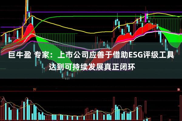 巨牛盈 专家：上市公司应善于借助ESG评级工具 达到可持续发展真正闭环
