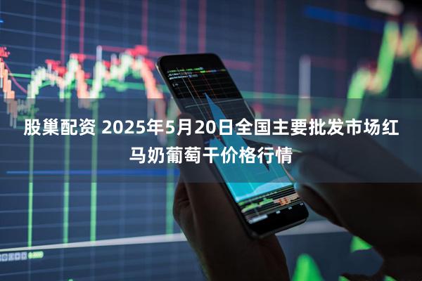 股巢配资 2025年5月20日全国主要批发市场红马奶葡萄干价格行情