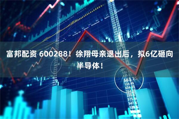 富邦配资 600288！徐翔母亲退出后，拟6亿砸向半导体！
